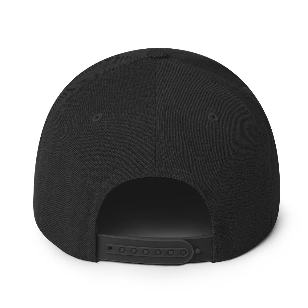 classic-snapback-black-back-670888f682f1b.jpg