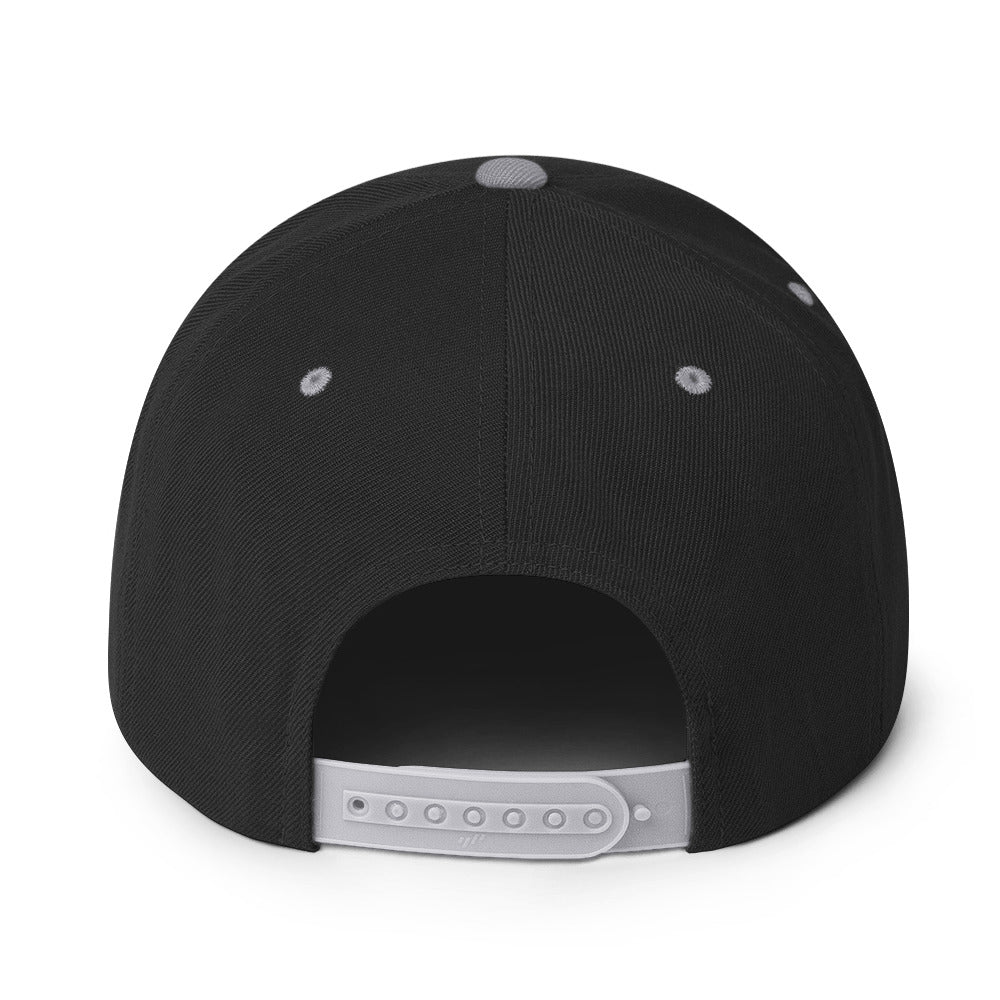 classic-snapback-black-silver-back-670888f68f3bd.jpg