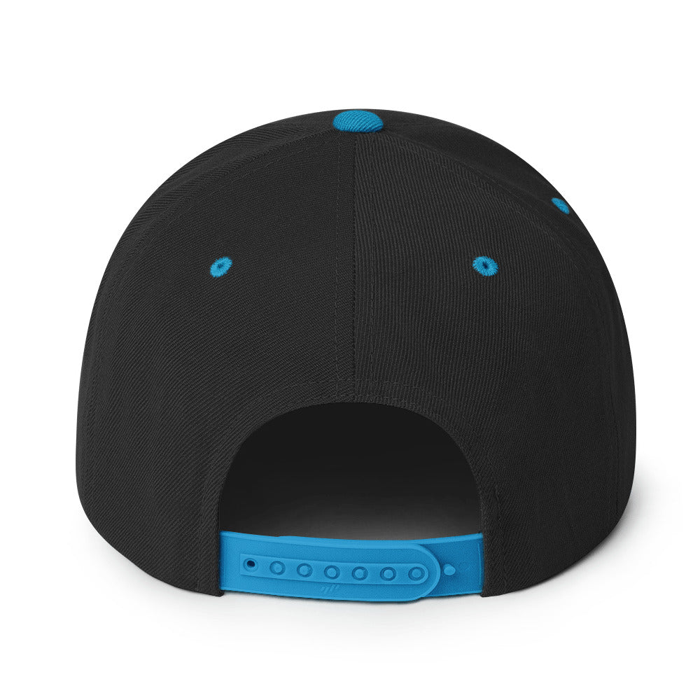 classic-snapback-black-teal-back-670888f68c5cb.jpg