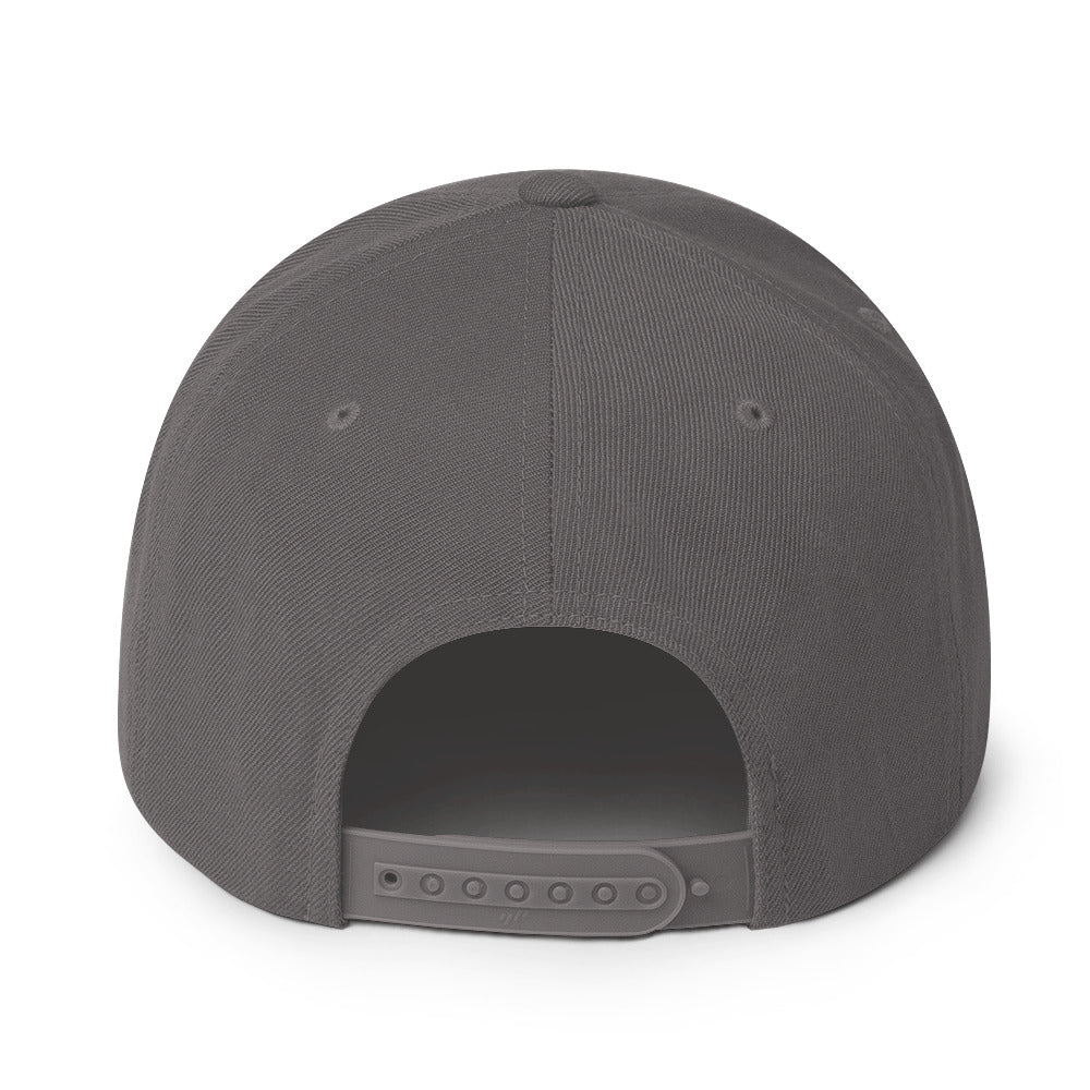 classic-snapback-dark-grey-back-670888f6de559.jpg