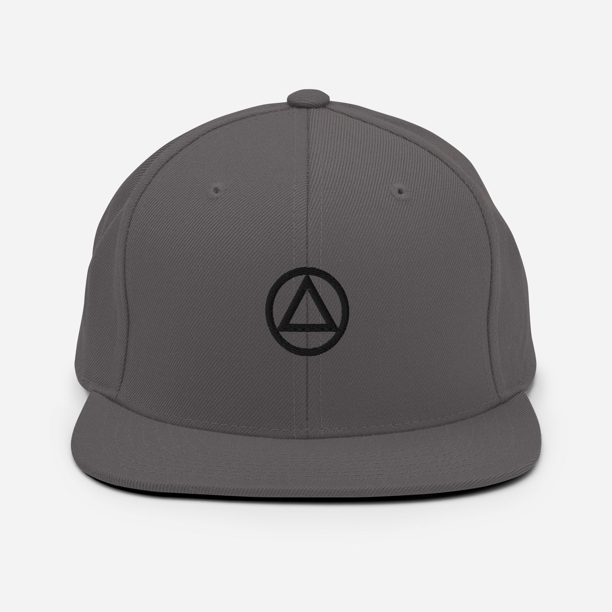 AA NA Circle Triangle Logo Black Clean Sober 12-step Recovery Support Gift Modern Snapback Hat