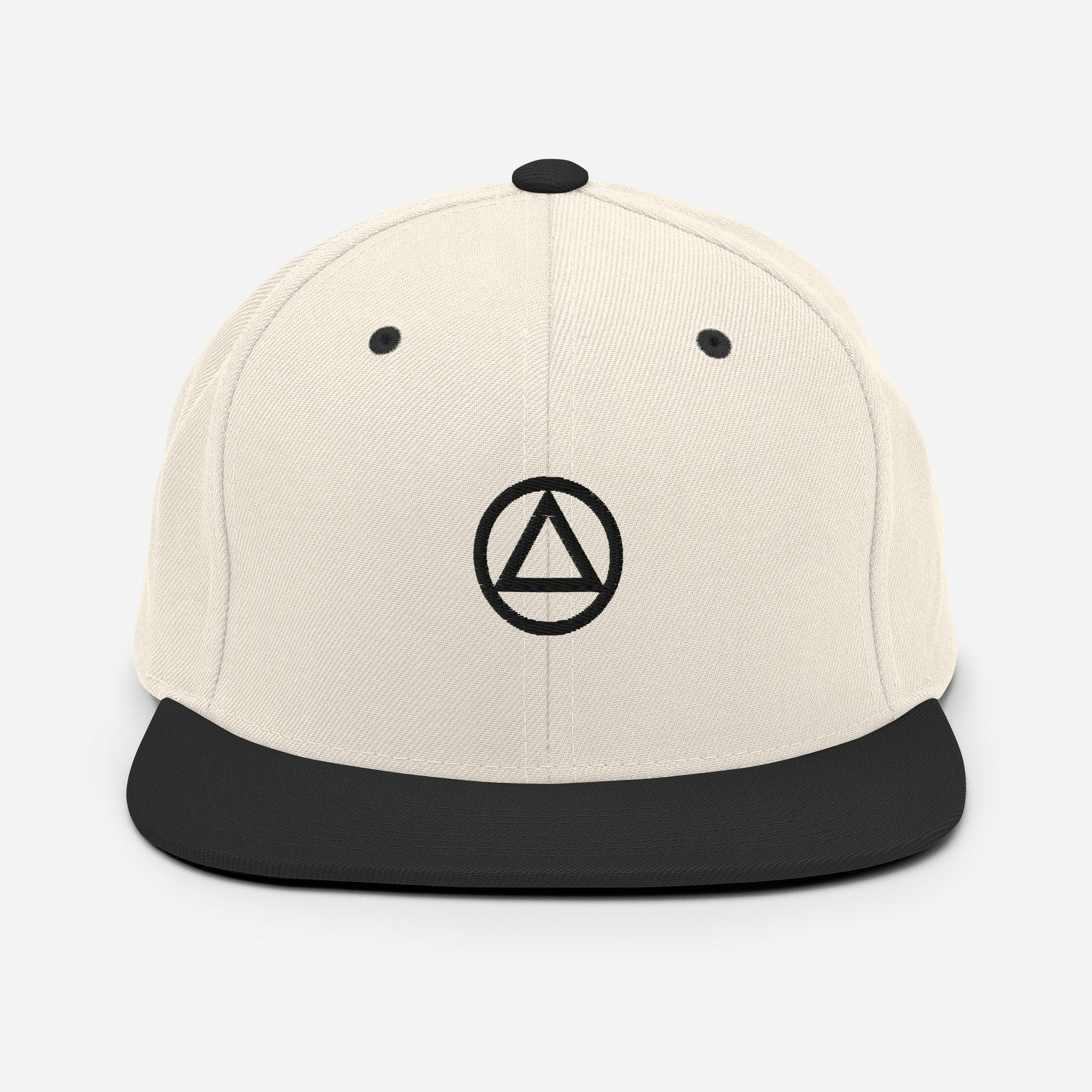 AA NA Circle Triangle Logo Black Clean Sober 12-step Recovery Support Gift Modern Snapback Hat