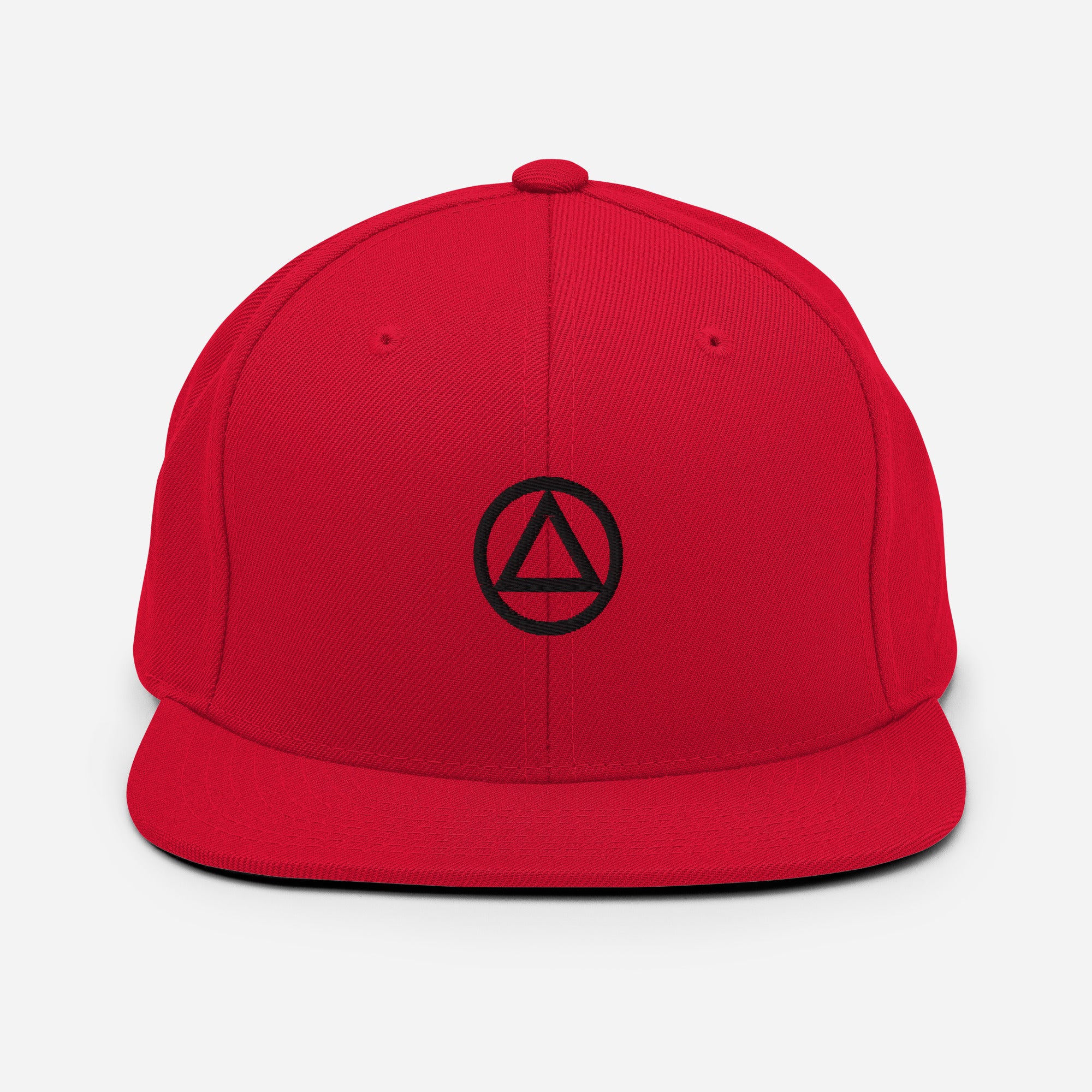 AA NA Circle Triangle Logo Black Clean Sober 12-step Recovery Support Gift Modern Snapback Hat