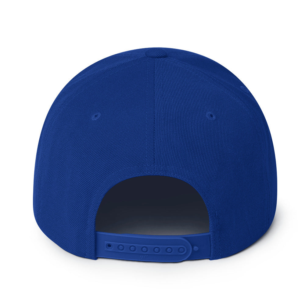 classic-snapback-royal-blue-back-670888f6a099a.jpg