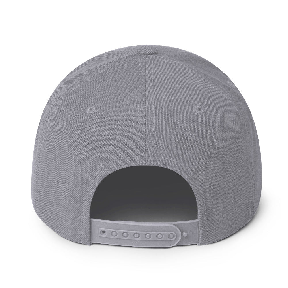 classic-snapback-silver-back-670888f6ecc9a.jpg