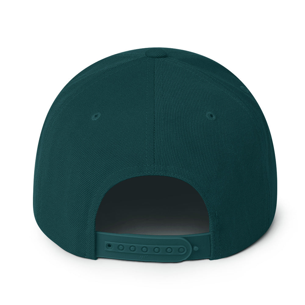 classic-snapback-spruce-back-670888f6bdea0.jpg