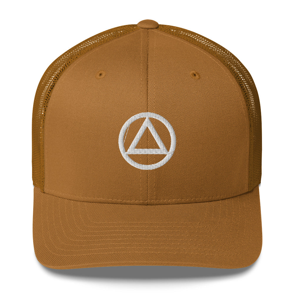 AA NA Logo White Triangle Circle Clean Sober 12-step Recovery Gift Mesh Snapback cap