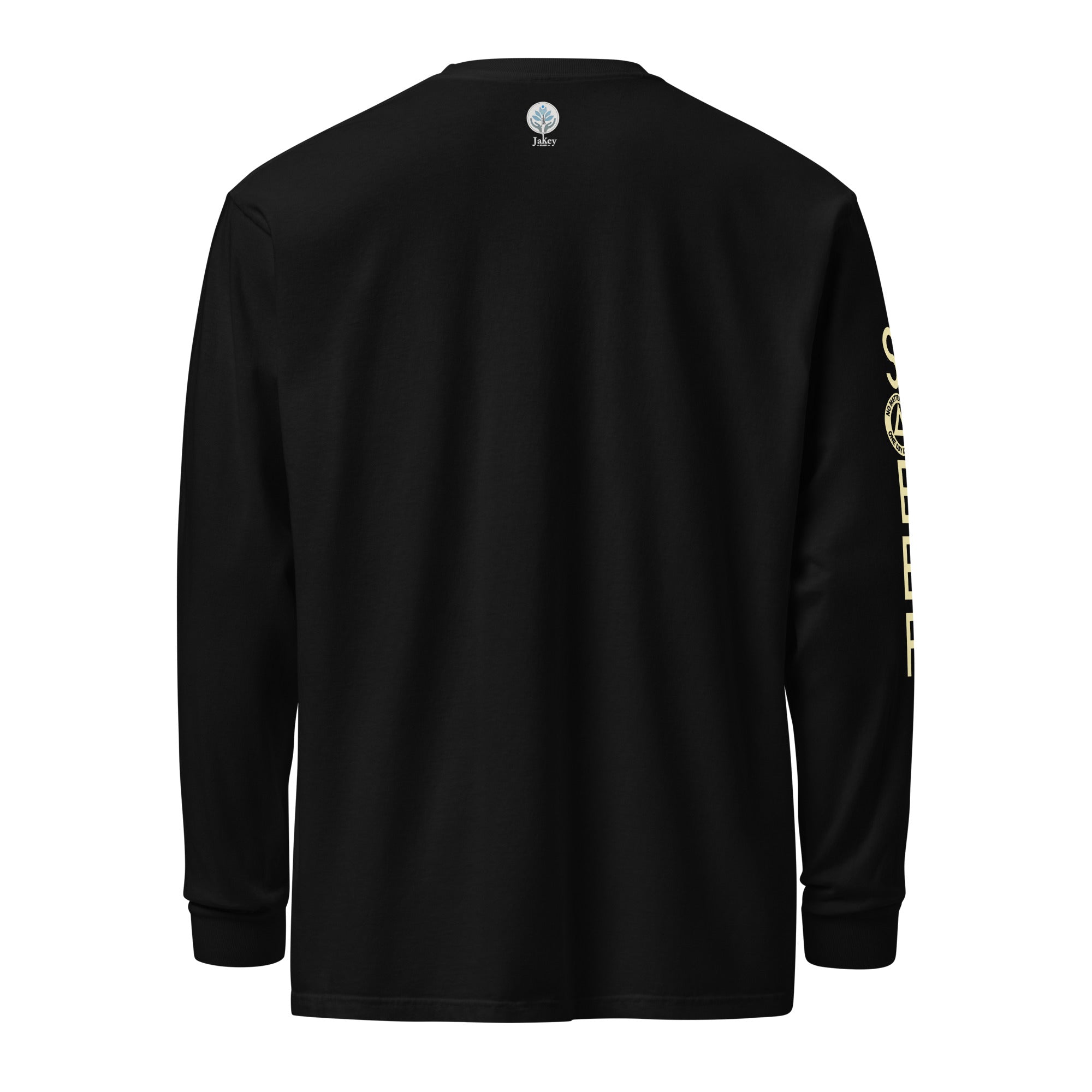 unisex-garment-dyed-heavyweight-long-sleeve-shirt-black-back-6705573fd2156.jpg