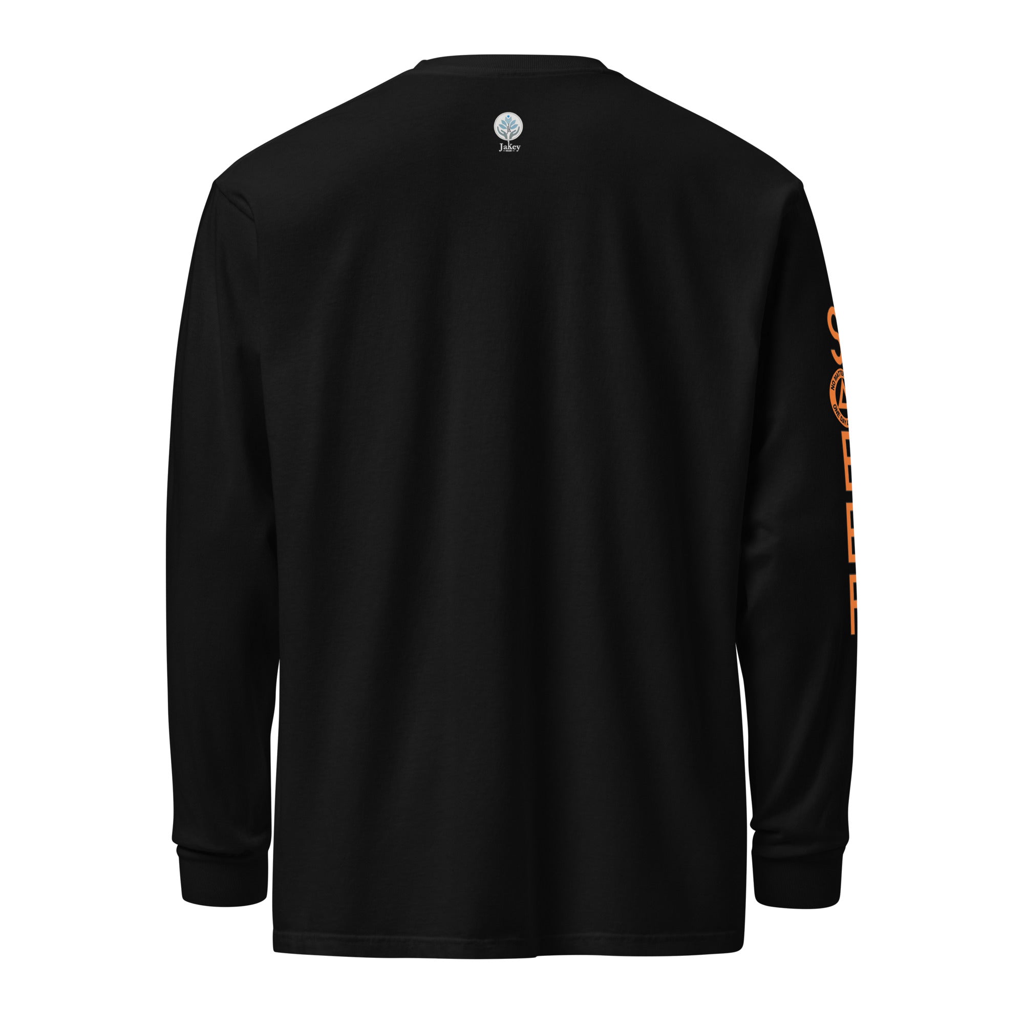 unisex-garment-dyed-heavyweight-long-sleeve-shirt-black-back-6705bd10912e6.jpg