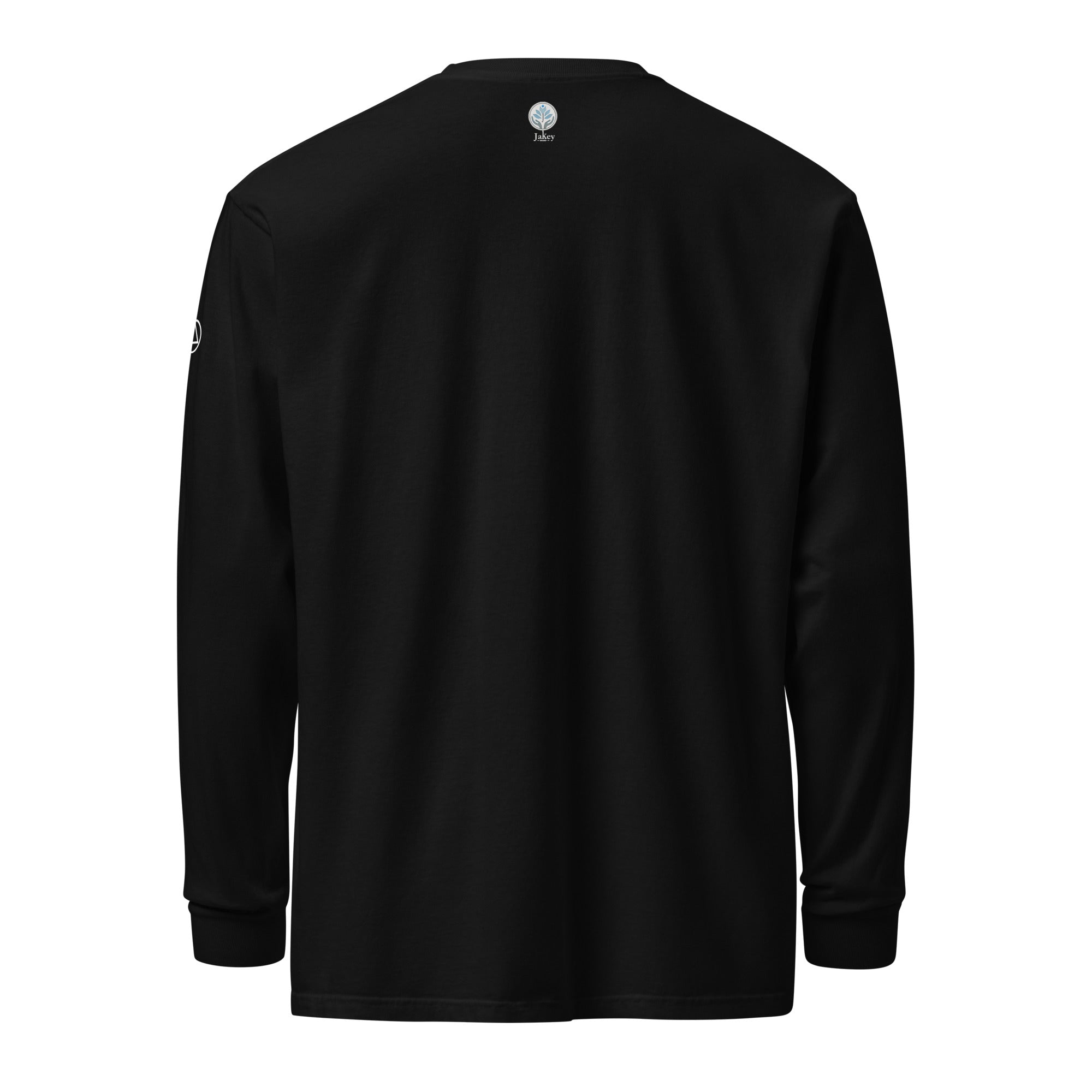 unisex-garment-dyed-heavyweight-long-sleeve-shirt-black-back-670b47d3a7bcb.jpg