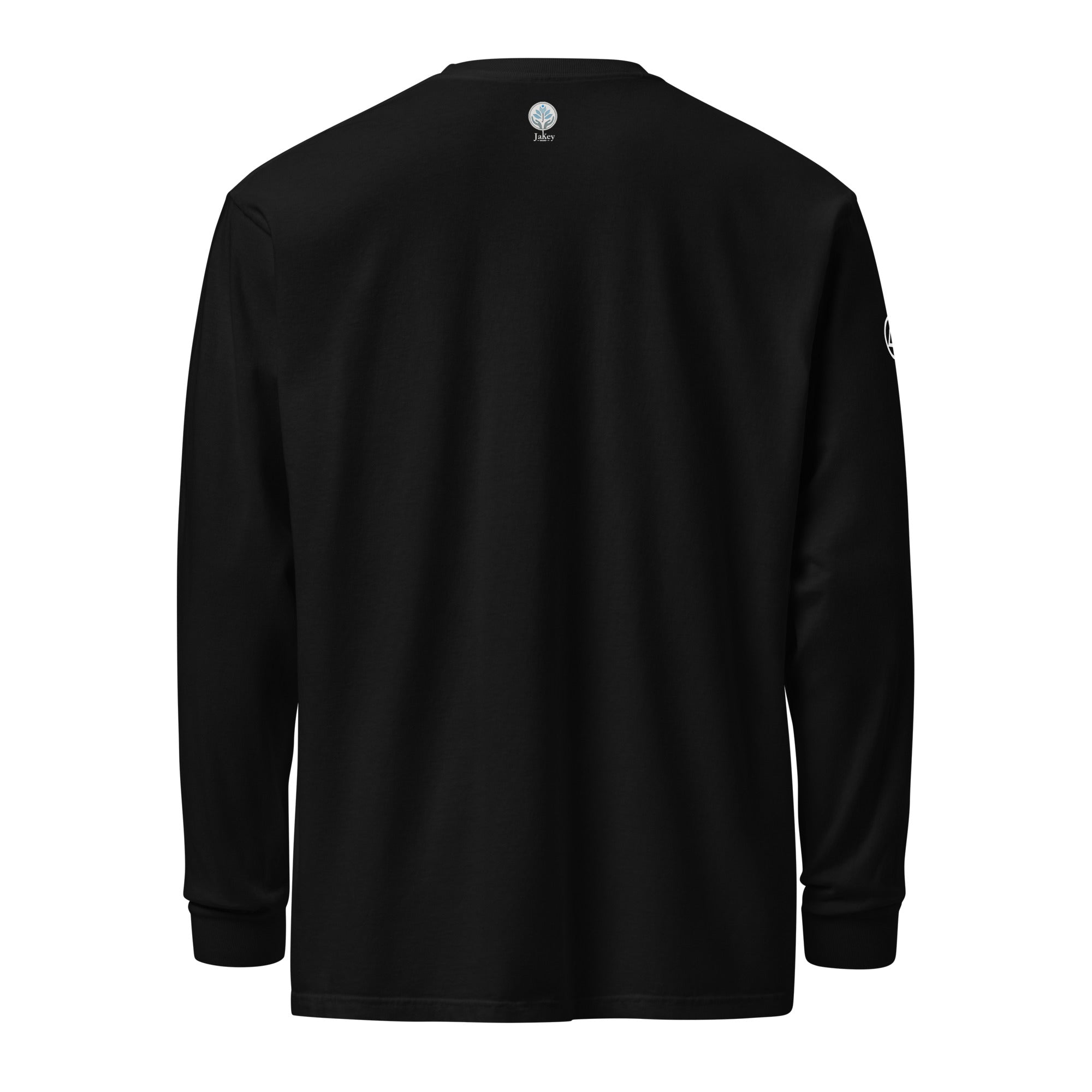 unisex-garment-dyed-heavyweight-long-sleeve-shirt-black-back-670b488df129e.jpg