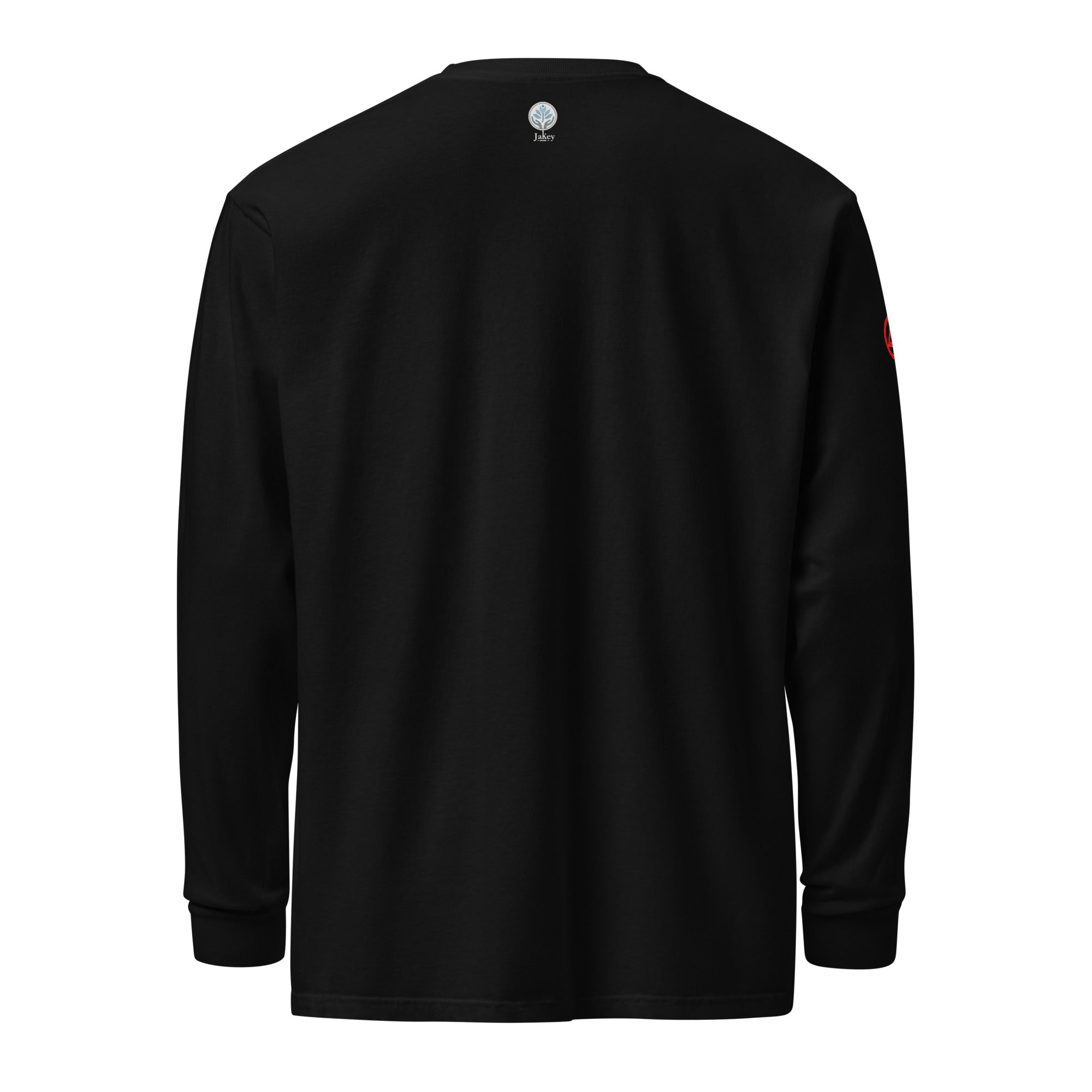 unisex-garment-dyed-heavyweight-long-sleeve-shirt-black-back-670bfecb56db6.jpg