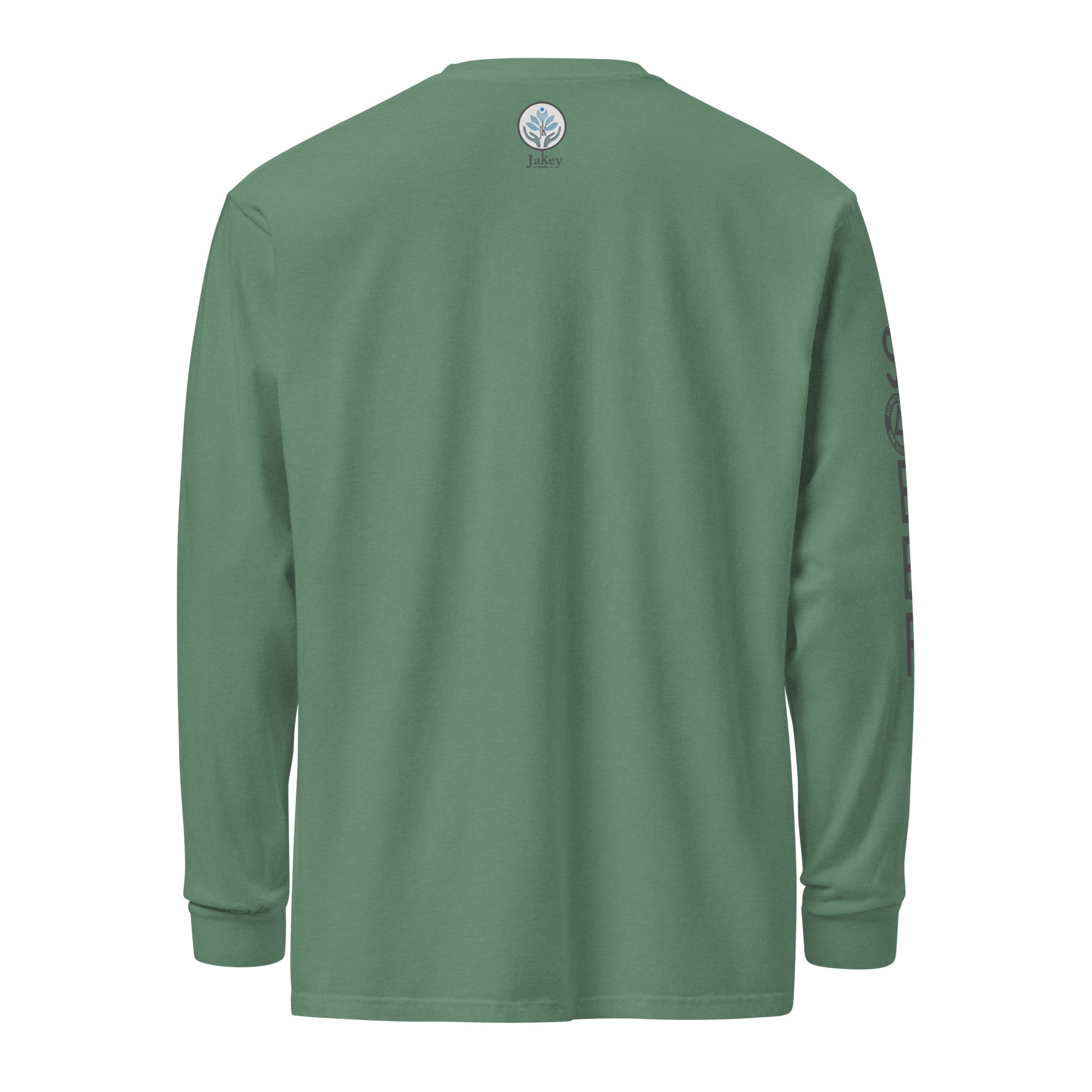 unisex-garment-dyed-heavyweight-long-sleeve-shirt-light-green-back-67057df5af1b1.jpg