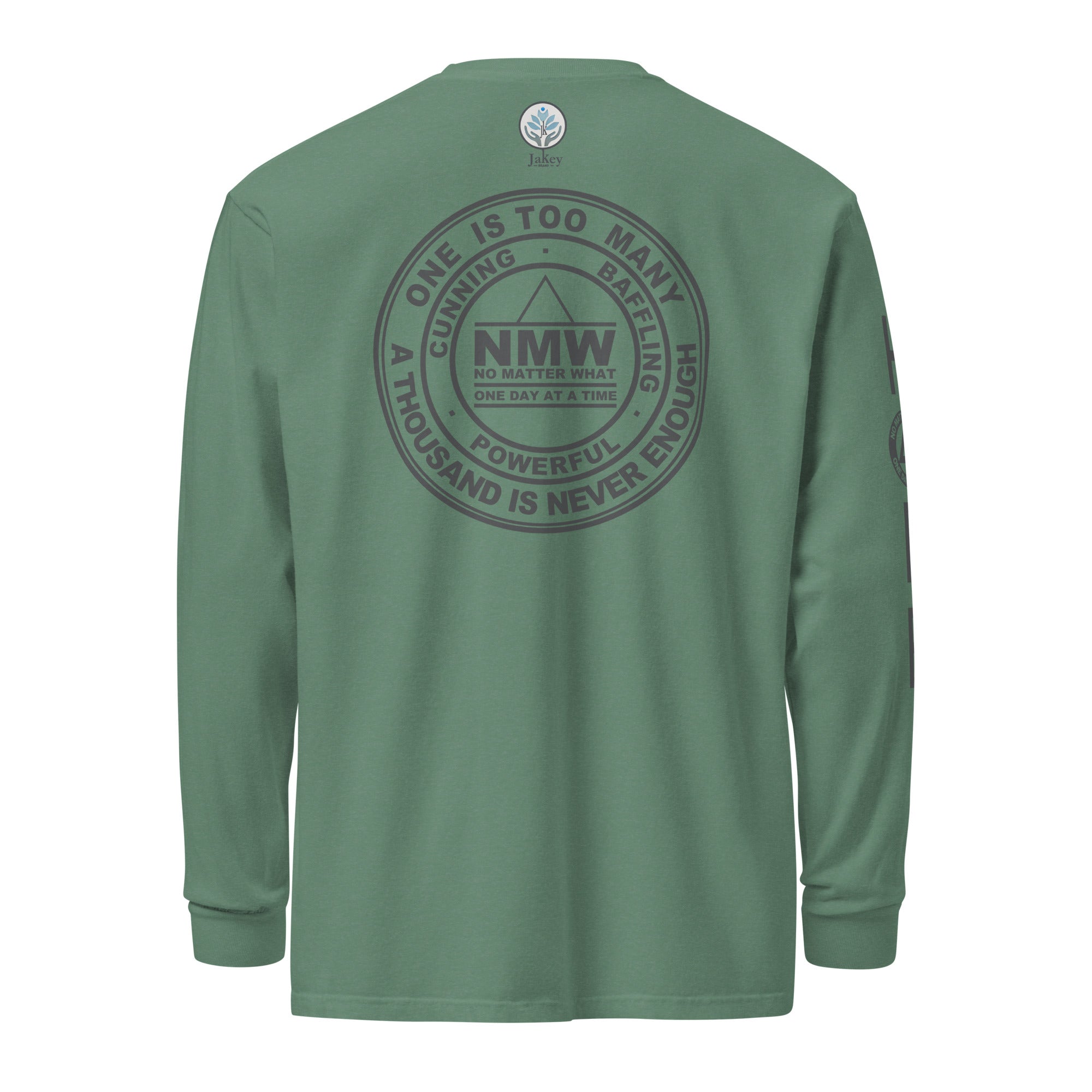 unisex-garment-dyed-heavyweight-long-sleeve-shirt-light-green-back-6705999c1ecee.jpg